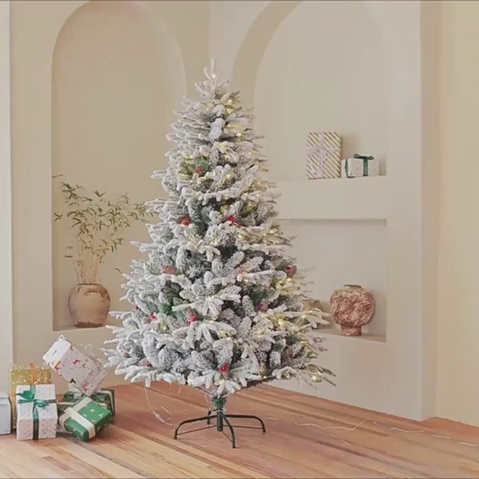 video